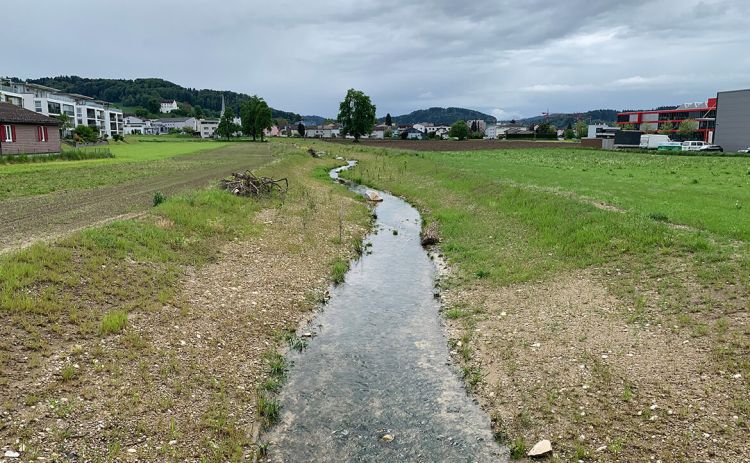 Verlegung Dorfbach, Reiden
