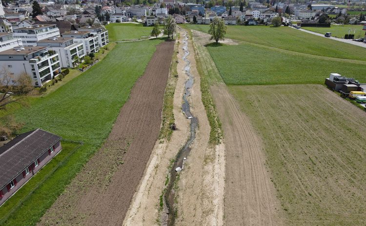 Verlegung Dorfbach, Reiden