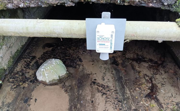 GEP Sensor-Monitoring, Schötz