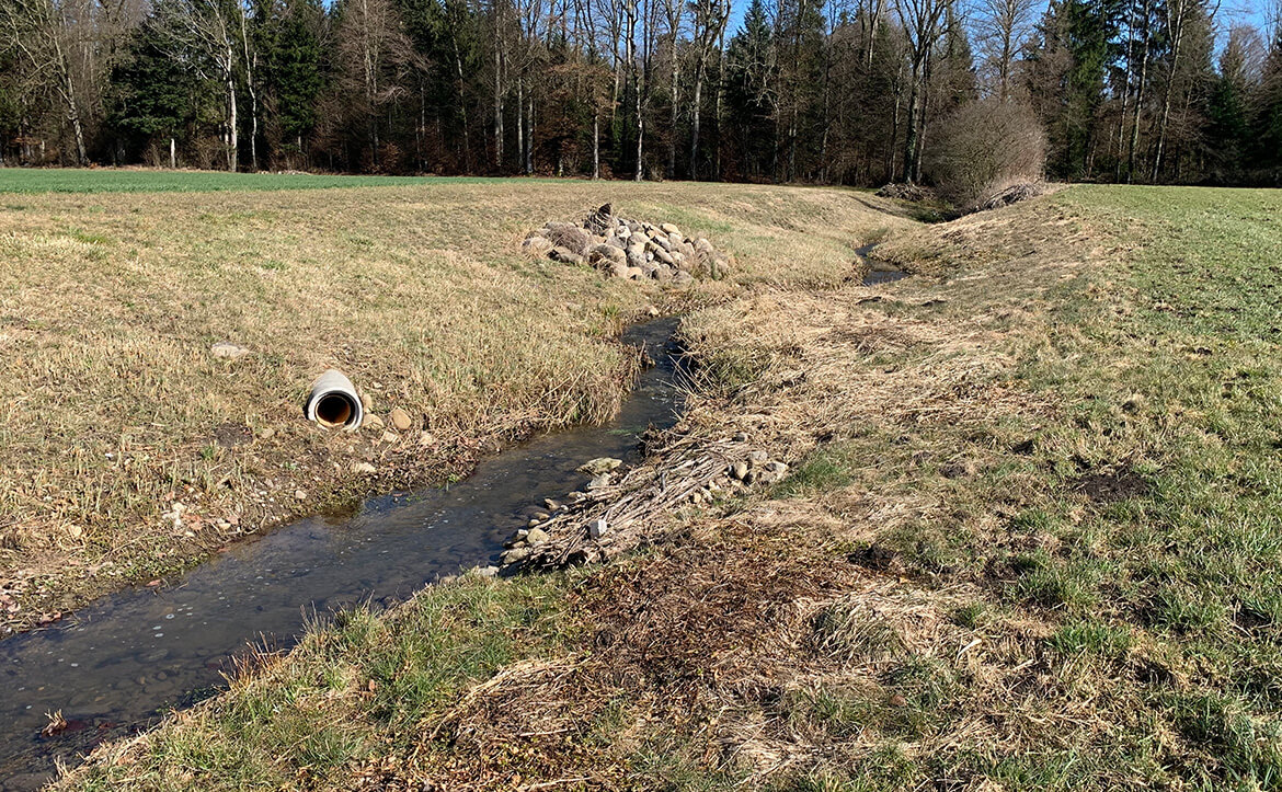 Eriswilergraben Buchs