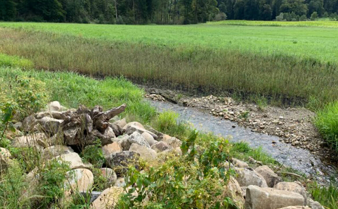 Eriswilergraben Buchs