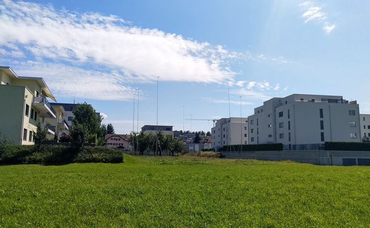 Baugesuchsprüfung